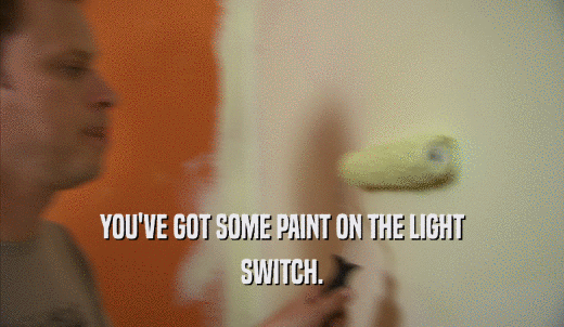 YOU'VE GOT SOME PAINT ON THE LIGHT SWITCH. 