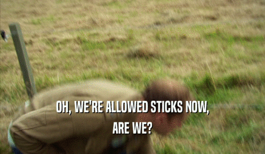 OH, WE'RE ALLOWED STICKS NOW, ARE WE? 