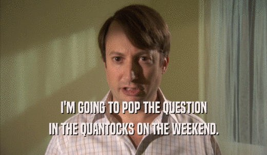 I'M GOING TO POP THE QUESTION IN THE QUANTOCKS ON THE WEEKEND. 
