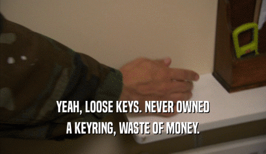 YEAH, LOOSE KEYS. NEVER OWNED A KEYRING, WASTE OF MONEY. 
