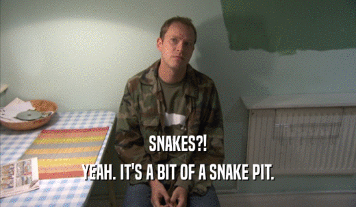 SNAKES?! YEAH. IT'S A BIT OF A SNAKE PIT. 