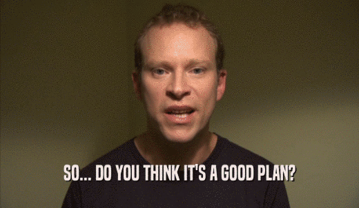 SO... DO YOU THINK IT'S A GOOD PLAN?  