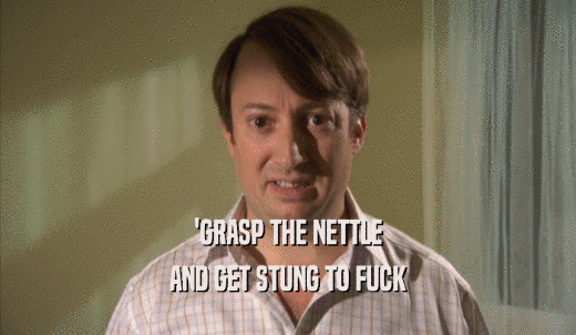'GRASP THE NETTLE AND GET STUNG TO FUCK 