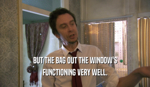 BUT THE BAG OUT THE WINDOW'S FUNCTIONING VERY WELL. 