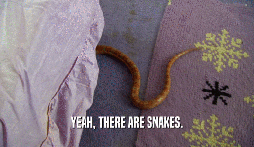 YEAH, THERE ARE SNAKES.  