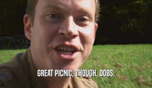 GREAT PICNIC, THOUGH, DOBS.  