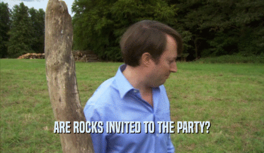 ARE ROCKS INVITED TO THE PARTY?  