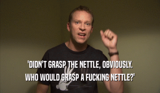 'DIDN'T GRASP THE NETTLE, OBVIOUSLY. WHO WOULD GRASP A FUCKING NETTLE?' 
