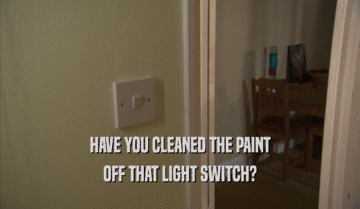 HAVE YOU CLEANED THE PAINT OFF THAT LIGHT SWITCH? 