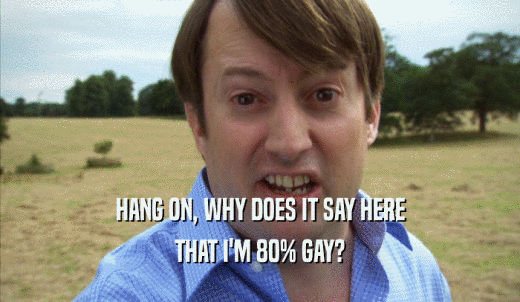HANG ON, WHY DOES IT SAY HERE THAT I'M 80% GAY? 