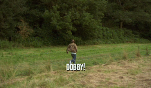 DOBBY!  