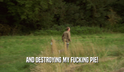 AND DESTROYING MY FUCKING PIE!  