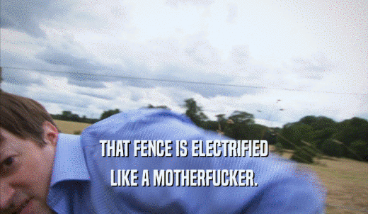 THAT FENCE IS ELECTRIFIED LIKE A MOTHERFUCKER. 