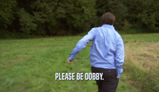 PLEASE BE DOBBY.  