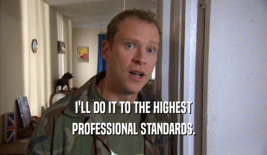 I'LL DO IT TO THE HIGHEST PROFESSIONAL STANDARDS. 