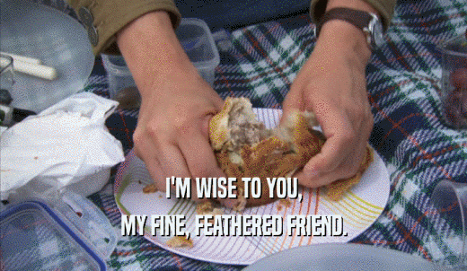 I'M WISE TO YOU, MY FINE, FEATHERED FRIEND. 