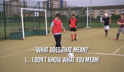 'WHAT DOES THAT MEAN?' I... I DON'T KNOW WHAT YOU MEAN! 