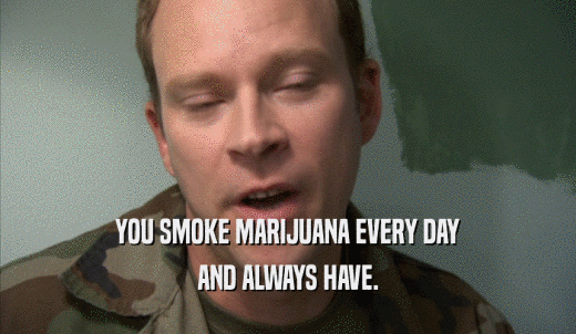 YOU SMOKE MARIJUANA EVERY DAY AND ALWAYS HAVE. 