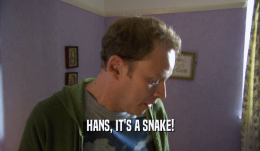 HANS, IT'S A SNAKE!  