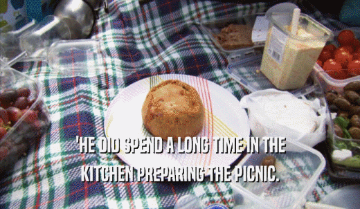 'HE DID SPEND A LONG TIME IN THE KITCHEN PREPARING THE PICNIC. 