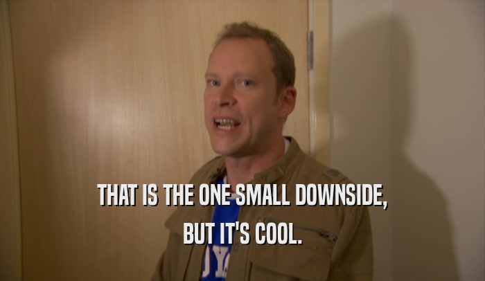 THAT IS THE ONE SMALL DOWNSIDE, BUT IT'S COOL. 