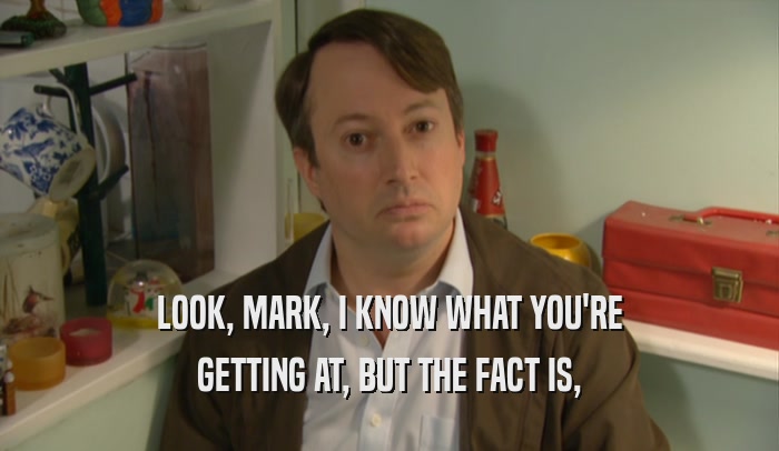 LOOK, MARK, I KNOW WHAT YOU'RE GETTING AT, BUT THE FACT IS, 