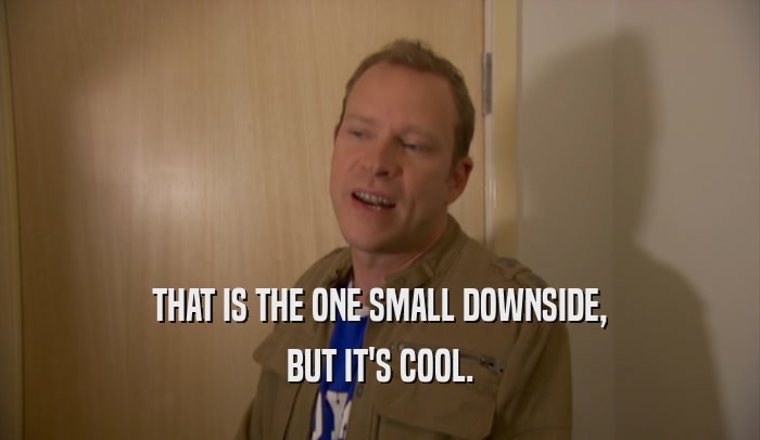 THAT IS THE ONE SMALL DOWNSIDE, BUT IT'S COOL. 