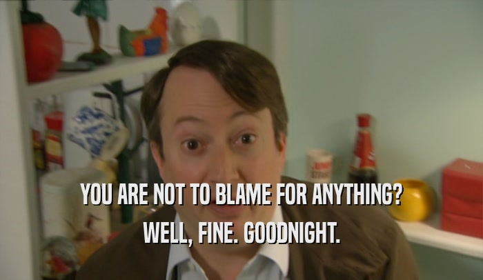 YOU ARE NOT TO BLAME FOR ANYTHING? WELL, FINE. GOODNIGHT. 