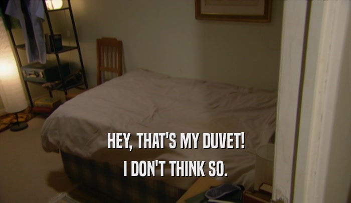 HEY, THAT'S MY DUVET! I DON'T THINK SO. 
