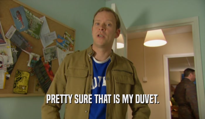 PRETTY SURE THAT IS MY DUVET.  