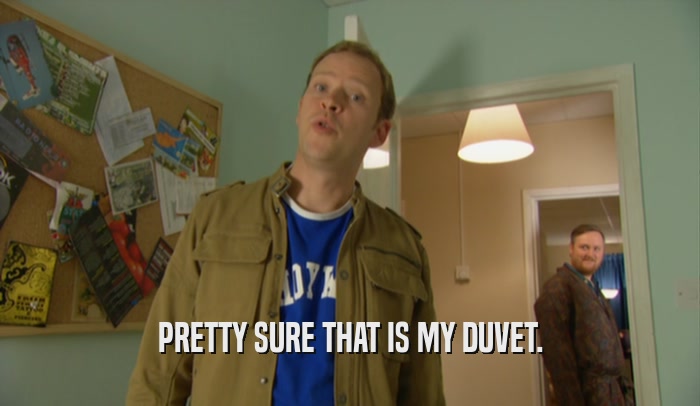 PRETTY SURE THAT IS MY DUVET.  