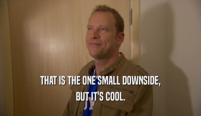 THAT IS THE ONE SMALL DOWNSIDE, BUT IT'S COOL. 
