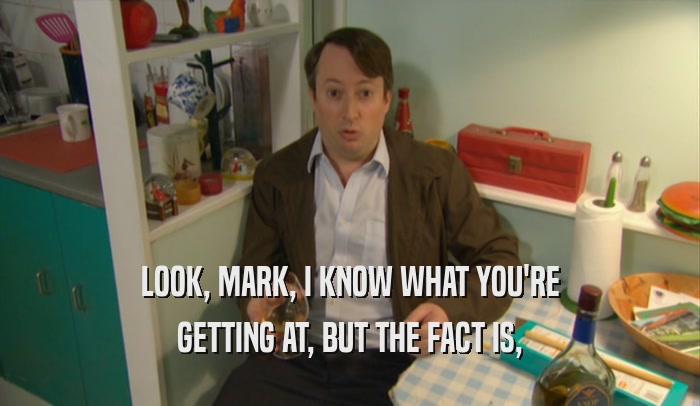 LOOK, MARK, I KNOW WHAT YOU'RE GETTING AT, BUT THE FACT IS, 