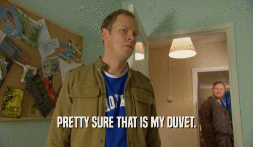 PRETTY SURE THAT IS MY DUVET.  