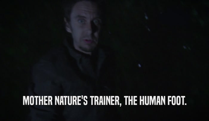 MOTHER NATURE'S TRAINER, THE HUMAN FOOT.  