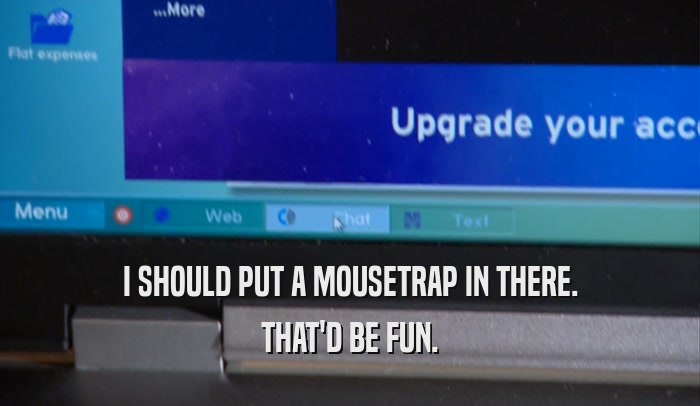 I SHOULD PUT A MOUSETRAP IN THERE. THAT'D BE FUN. 