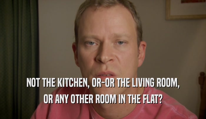 NOT THE KITCHEN, OR-OR THE LIVING ROOM, OR ANY OTHER ROOM IN THE FLAT? 
