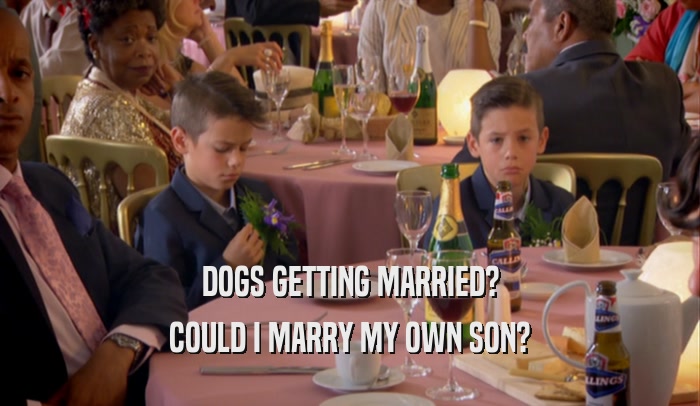 DOGS GETTING MARRIED? COULD I MARRY MY OWN SON? 