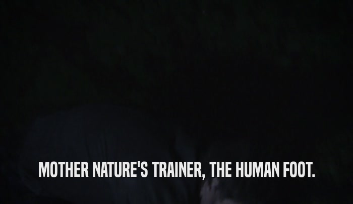 MOTHER NATURE'S TRAINER, THE HUMAN FOOT.  