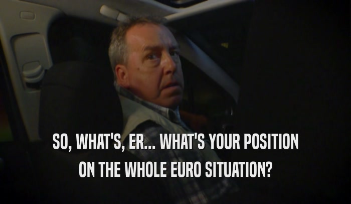 SO, WHAT'S, ER... WHAT'S YOUR POSITION ON THE WHOLE EURO SITUATION? 