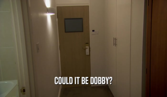 COULD IT BE DOBBY?  