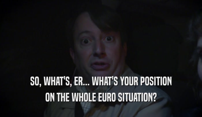 SO, WHAT'S, ER... WHAT'S YOUR POSITION ON THE WHOLE EURO SITUATION? 