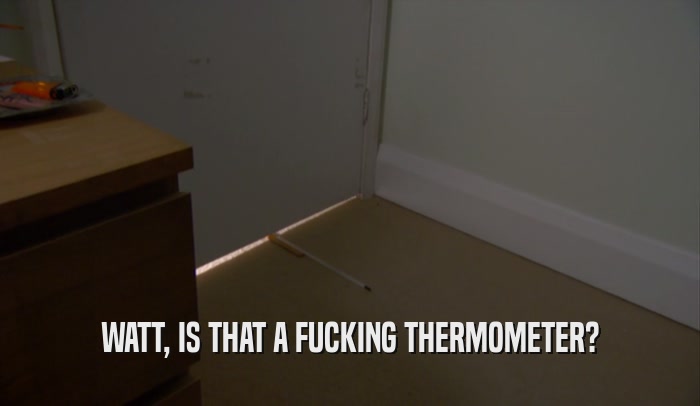 WATT, IS THAT A FUCKING THERMOMETER?  