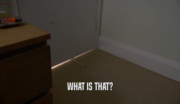 WHAT IS THAT?  