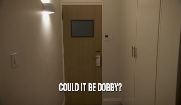 COULD IT BE DOBBY?  