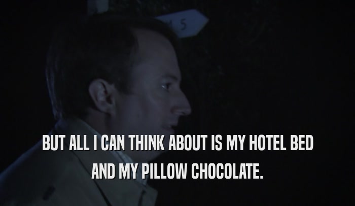 BUT ALL I CAN THINK ABOUT IS MY HOTEL BED AND MY PILLOW CHOCOLATE. 