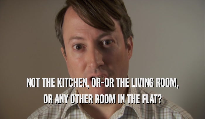 NOT THE KITCHEN, OR-OR THE LIVING ROOM, OR ANY OTHER ROOM IN THE FLAT? 