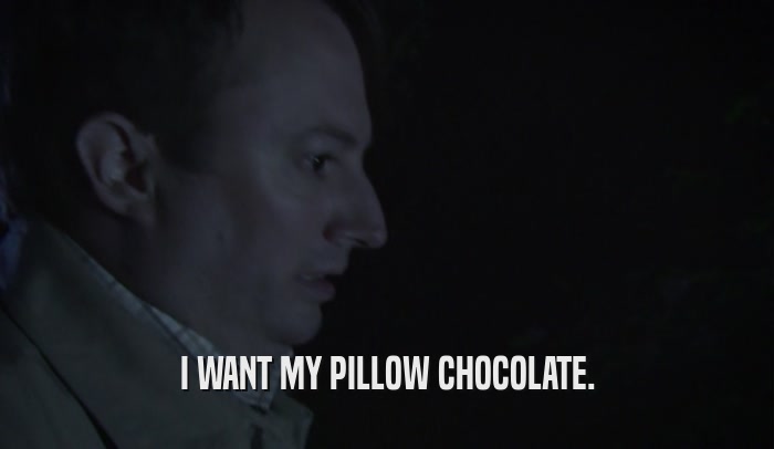 I WANT MY PILLOW CHOCOLATE.  