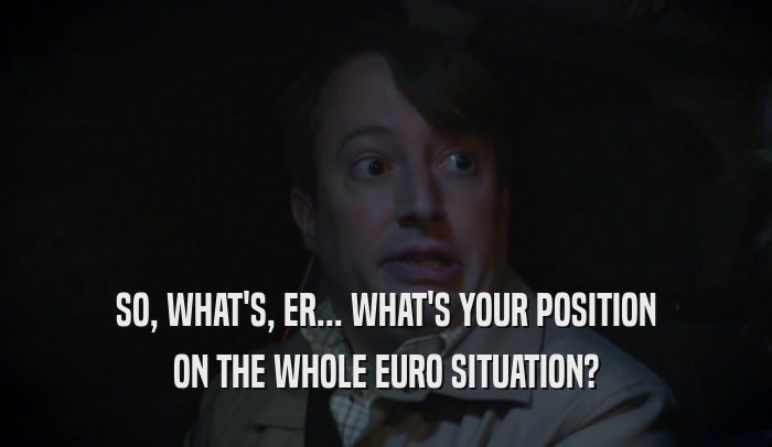 SO, WHAT'S, ER... WHAT'S YOUR POSITION ON THE WHOLE EURO SITUATION? 
