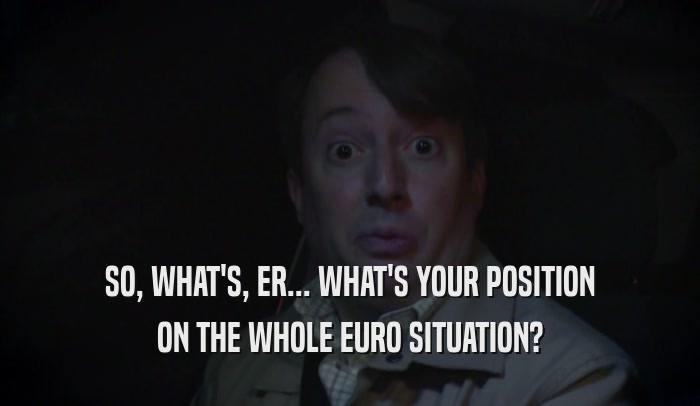 SO, WHAT'S, ER... WHAT'S YOUR POSITION ON THE WHOLE EURO SITUATION? 